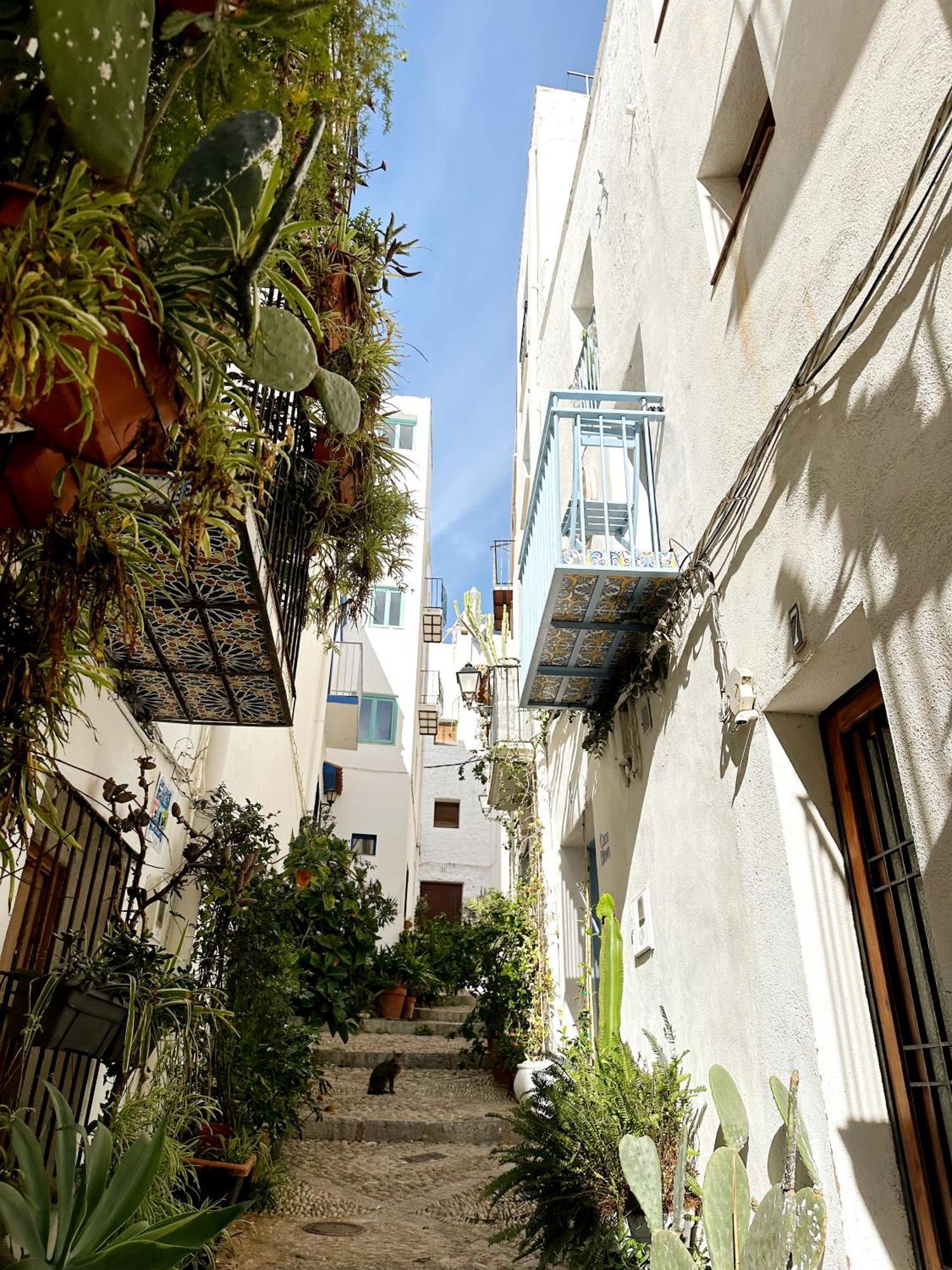Vila Casa Blava, Casco Antiguo De Peñíscola Exteriér fotografie